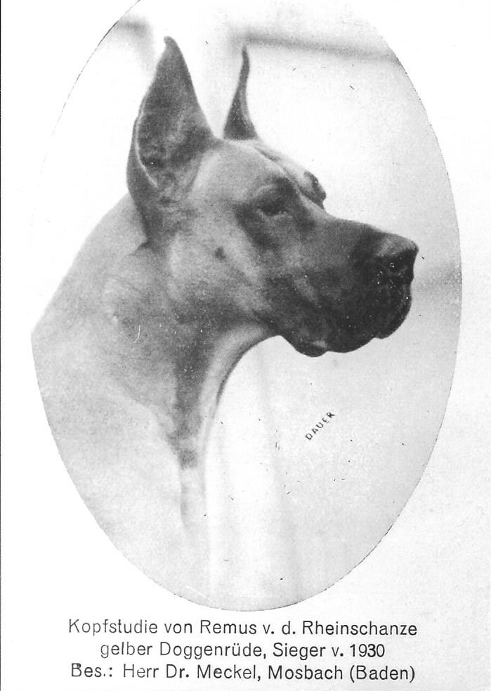 Remus vd Rheinschanze
